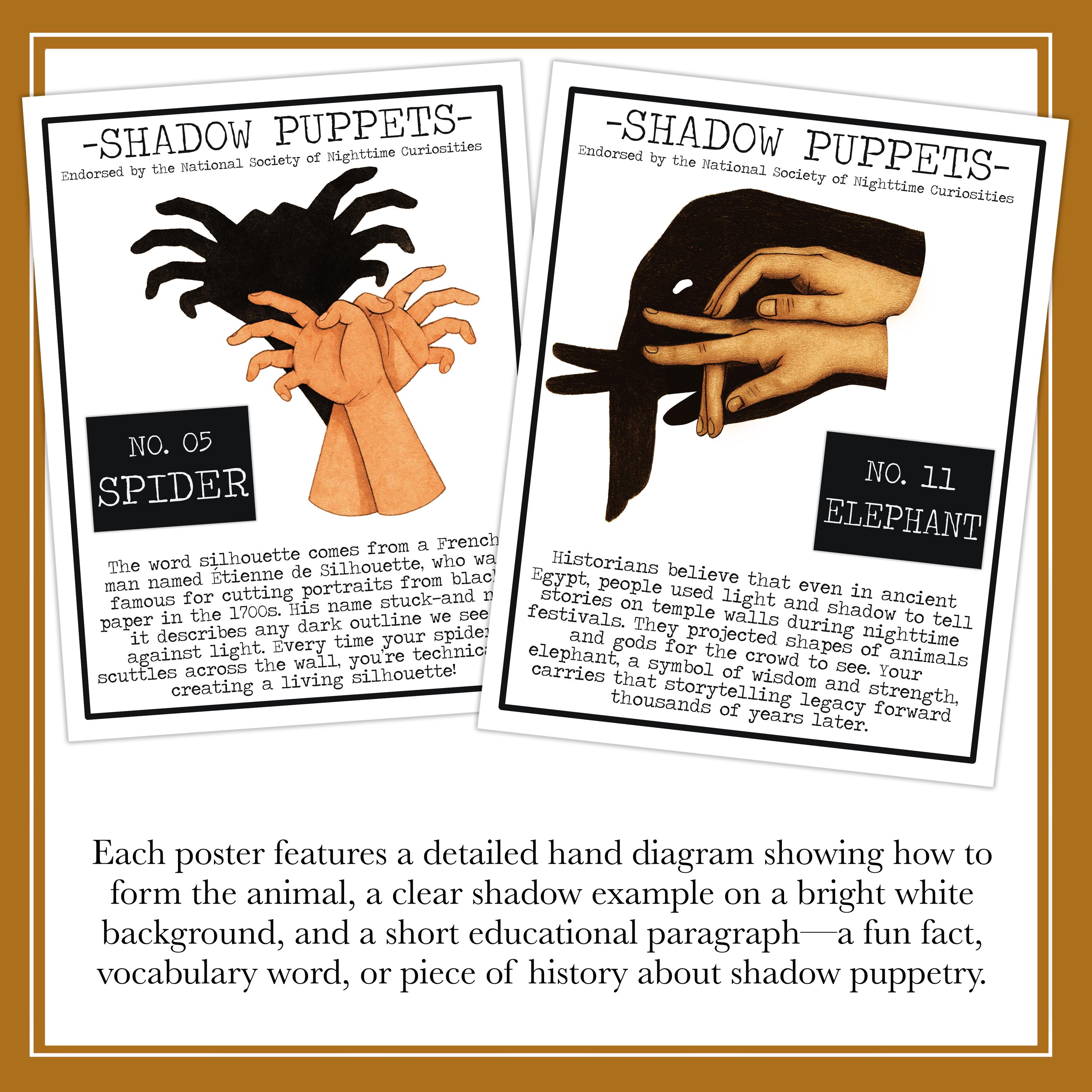 Shadow Puppet Posters | Animal Shadow Hand Puppets Bulletin Board