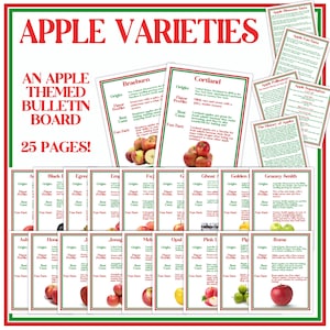 Tablón de anuncios con variedades de manzanas / Juego de carteles con variedades de manzanas / Carteles de otoño con variedades de manzanas / Decoración para clases de jardín de infantes, preescolar y educación en el hogar con manzanas