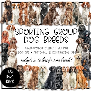 Pode incluir: Um pacote de clipart em aquarela com várias raças de cães esportivos em várias cores de pelagem. A imagem inclui o texto "SPORTING GROUP DOG BREEDS", "WATERCOLOR CLIPART BUNDLE" e "45+ PNG FILES". Para uso pessoal e comercial.