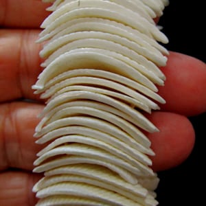 Karibisches Armband aus Muscheln