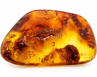 Amber with inlays, untreated