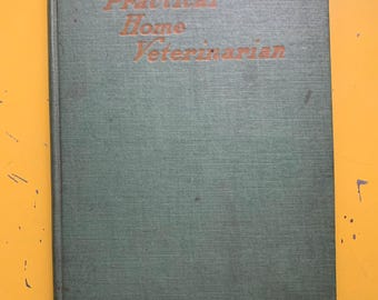 Veterinario práctico a domicilio (1906): diario antiguo, cuaderno reciclado y álbum de recortes veterinario