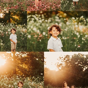 May include: A family poses in a field of wildflowers. A pregnant woman in a pink dress stands with her daughter. Two young boys stand in separate photos, one with curly hair and the other with straight hair. The photos are taken in a field of wildflowers with a golden sunset in the background.