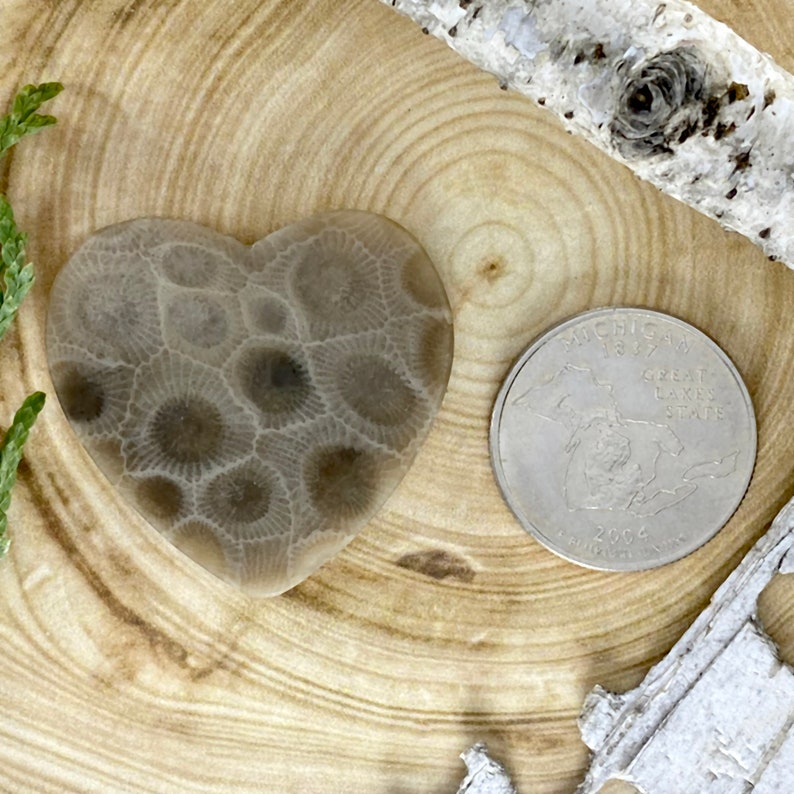Petoskey Stone Heart Cabochon