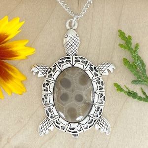 May include: A silver turtle pendant featuring a fossilized coral centrepiece. The coral is a light brown colour with a swirling pattern.