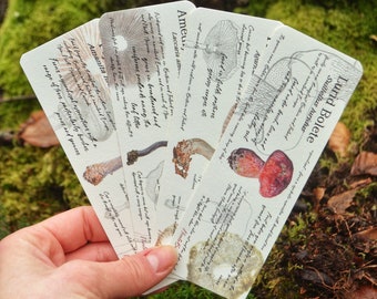 Mushroom Bookmarks 4 Pack Mushroom Journal Pages Bookmark Set Bookmark Gift Set