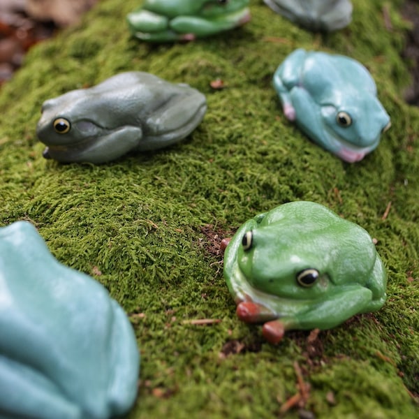 Frog Magnet Handmade Dumpy Frog White’s Tree Frog Australian Tree Frog Magnet Ornament Gift