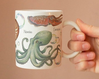 May include: White ceramic mug with a colorful illustration of sea creatures, including an octopus, a cuttlefish, and a nautilus. The text "Nautilus" and "Cuttlefish" are printed on the mug.