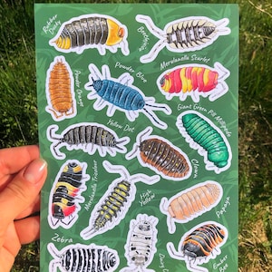 Hoja de pegatinas de isópodos con 9 pegatinas de papel ecológico