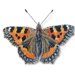 Small Tortoiseshell Butterfly Painting Conservation Endangered Species Art Limited Edition Fine Art Print