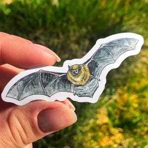 Common Pipistrelle Bat Sticker Waterproof Individual Die-cut Sticker Watercolour Bat Illustration