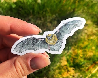 Pipistrelle Bat Sticker, Waterproof Gouache Illustration