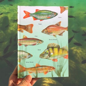 Coarse Fish Notebook Lined 192 Pages A5 with Illustrations of Coarse Fish Species Eco-friendly Fishing Gift for Fisherman