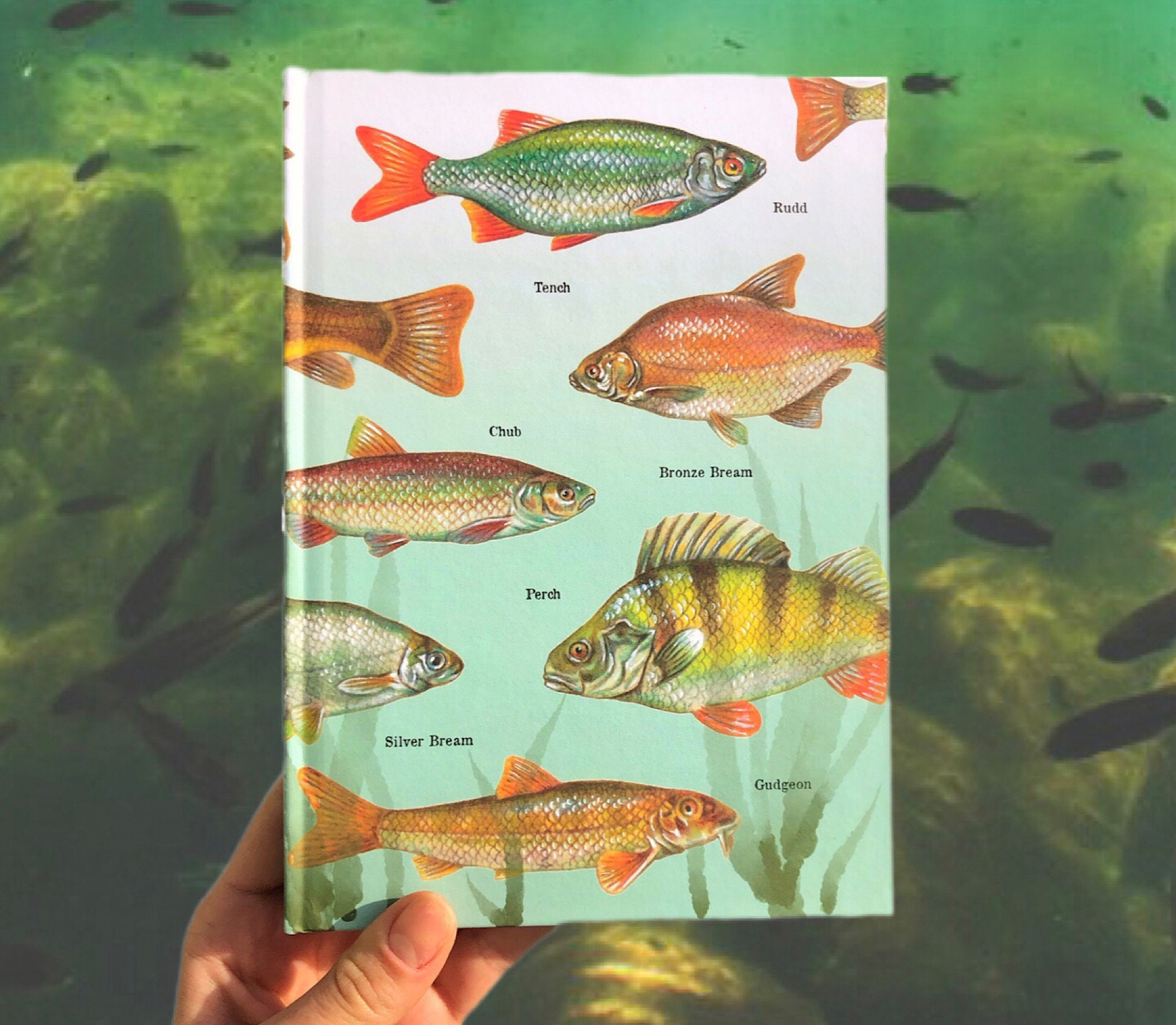 Coarse Fish Notebook Lined 192 Pages A5 with Illustrations of Coarse Fish Species Eco-friendly Fishing Gift for Fisherman