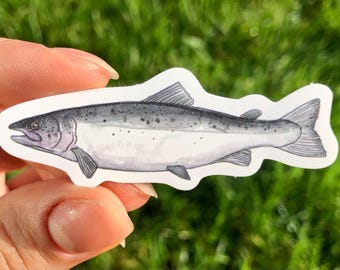 Pegatina de salmón del Atlántico, troquelada, impermeable, individual, ilustración de acuarela.