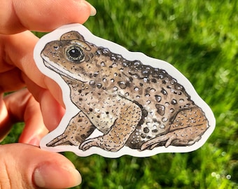 Toad Sticker Waterproof Individual Die-cut Sticker Watercolour Natterjack Illustration