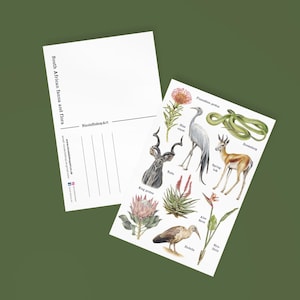 Cartolina A6 con fauna e flora sudafricane e disegni originali di piante e animali sudafricani