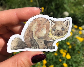 Pine Marten Sticker Waterproof Individual Die-cut Sticker Watercolour Illustration