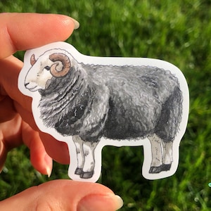 Sheep Sticker Waterproof Individual Die-cut Sticker Watercolour Herdwick Sheep Illustration