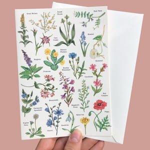 Wildflower Illustration Greeting Card with Envelope Birthday Card