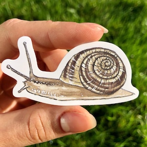 Snail Sticker Wasserdicht individuell gestanzte Aufkleber Aquarell Illustration