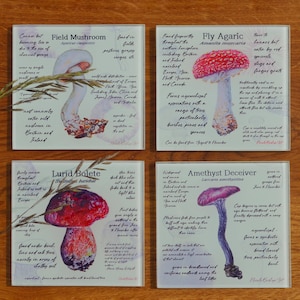 Mushroom Coasters Journal Pages Glass Coasters Set Mushroom Gift