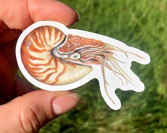Nautilus Sticker Waterproof Individual Die-cut Sticker Cephalopod Illustration