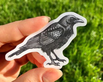 Crow Sticker Waterproof Individual Die-cut Sticker Watercolour Corvid Illustration