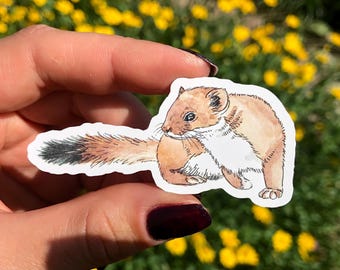 May include: A sticker featuring a watercolor illustration of a small, brown weasel with a long tail. The weasel has a white belly and a black-tipped tail. The sticker is held against a background of yellow flowers.