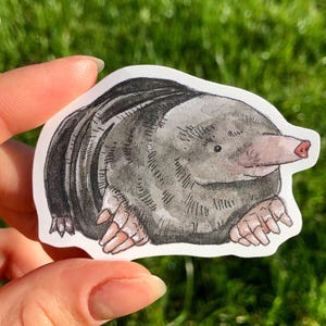 Mole Sticker Waterproof Individual Die-cut Sticker Watercolour European Mole Illustration