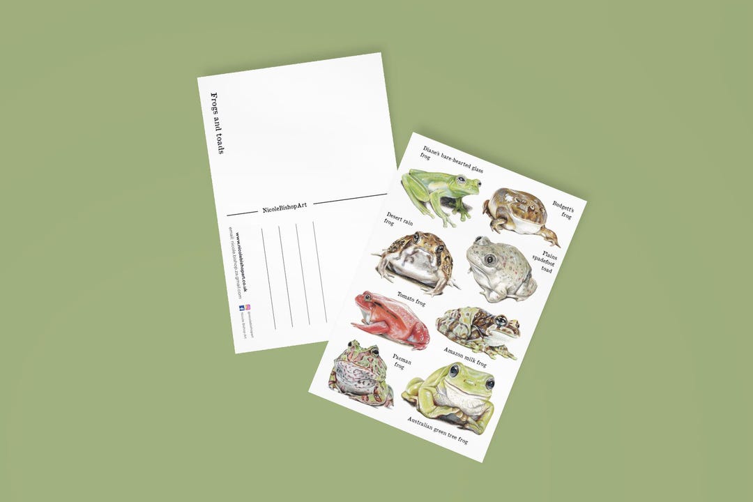 Frogs and Toads A6 Postcard Featuring Original Drawings of Frog