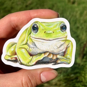 Australisk trädgroda-klistermärke, vattentät Dumpy Frog-illustration