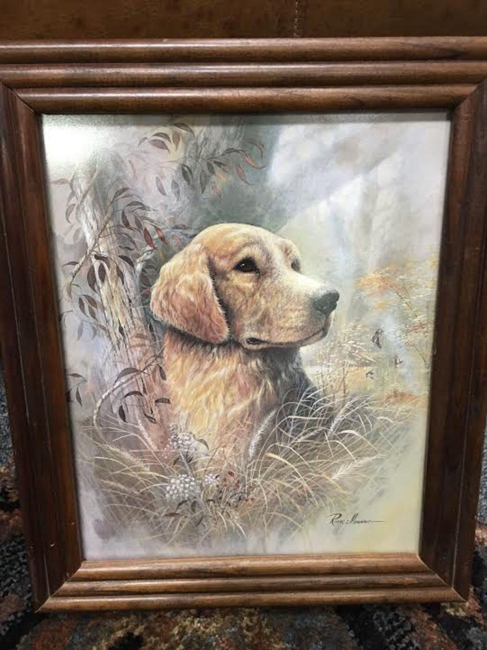Ruane Manning Framed Print The Golden Retriever Vintage Etsy 日本