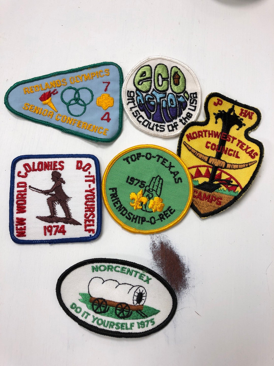 Set of SIX Vintage Girl Scout Badges, Scout Memoribilia, Vintage Sew on