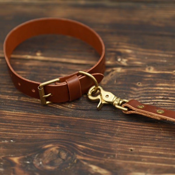 Brown Leather Dog Collar & Lead, Personalised Dog Gift Set