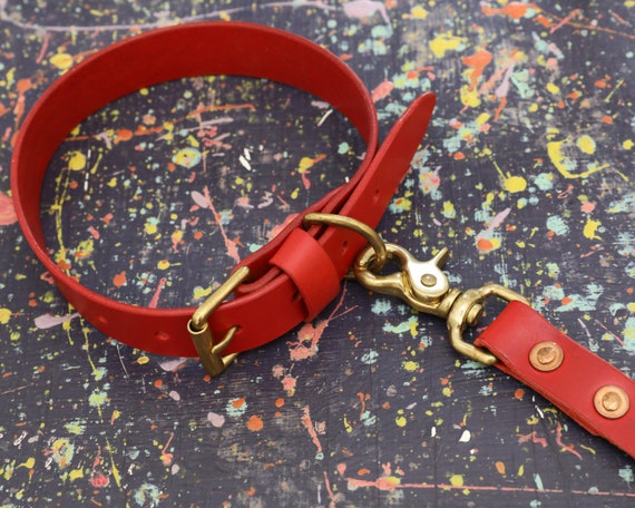 Red collar hotsell and lead set
