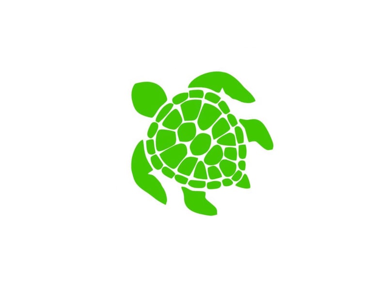 Nature Sea Animal Cute Salt Life Ocean Turtle Vinyl Car Laptop Decal Sticker