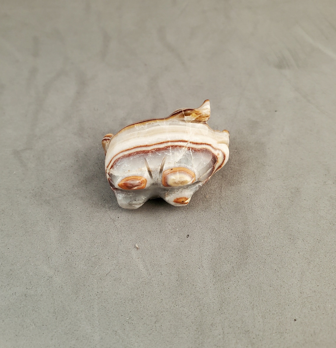 Zuni Pig Fetish By Stanton Hannaweeke Marble With I