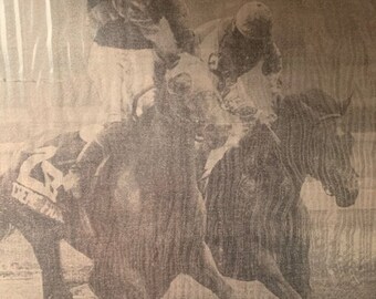 Belmont Stakes 1985 Creme Fraiche  with Eddie Maple win horse racing