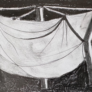 Shelter