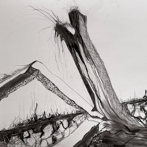 Remains