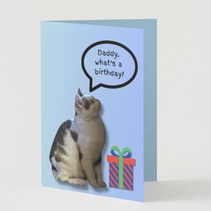 Cat Lover's Birthday