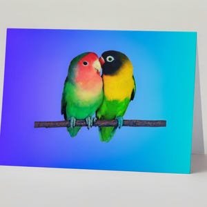 Tarjeta de aniversario Love Birds Mate for Life