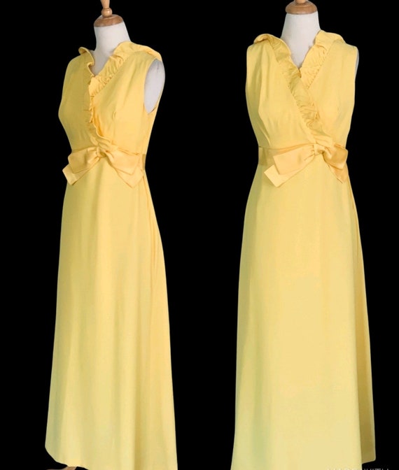 Vintage Evening Gown 1960s dress Vintage 60s Even… - image 5