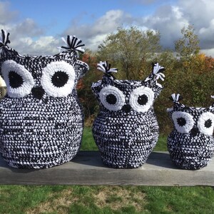 Peut inclure: Trois figurines de hiboux crochetés à la main, de tailles différentes. Les hiboux sont principalement noirs et blancs, avec de grands yeux blancs et des pupilles noires. Chaque hibou a des touffes décoratives sur la tête. Ils sont exposés sur une surface en bois.
