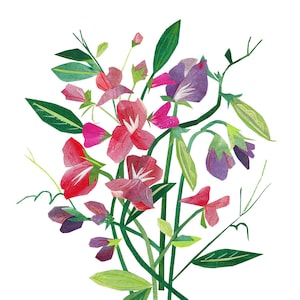 Sweet Peas - Giclee print van een originele collage