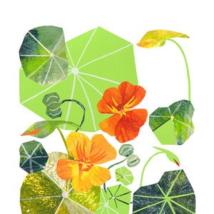 Nasturtiums - Giclee Print of an Original Collage