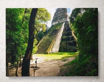 Tikal Temple V Guatemala Framed Print, Canvas, Poster | Mexico | Yucatan | Engineering | Gods | Mythology Aztec | Mayans | Wall Art Décor