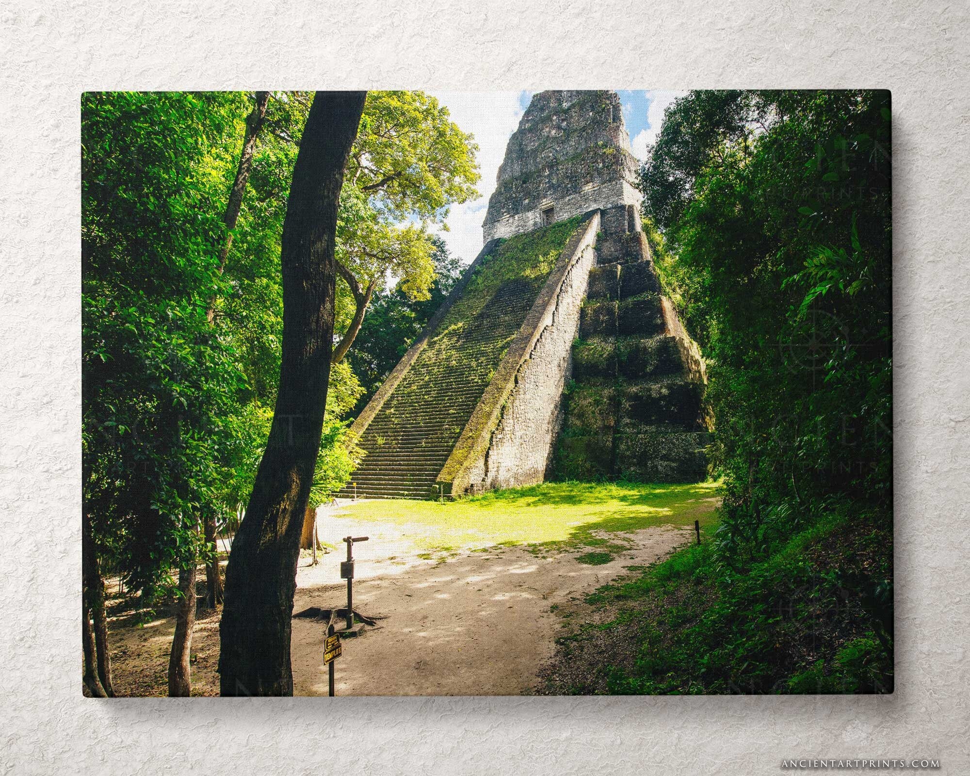 Tikal Temple V Guatemala Framed Print Canvas Poster Mexico 