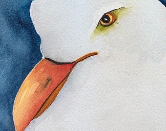 Frank the Seagull (Original Watercolor Painting)